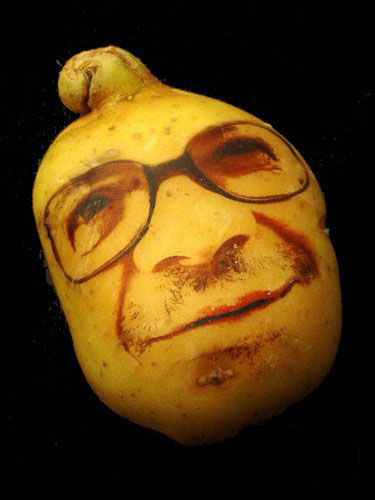 土豆君來(lái)啦